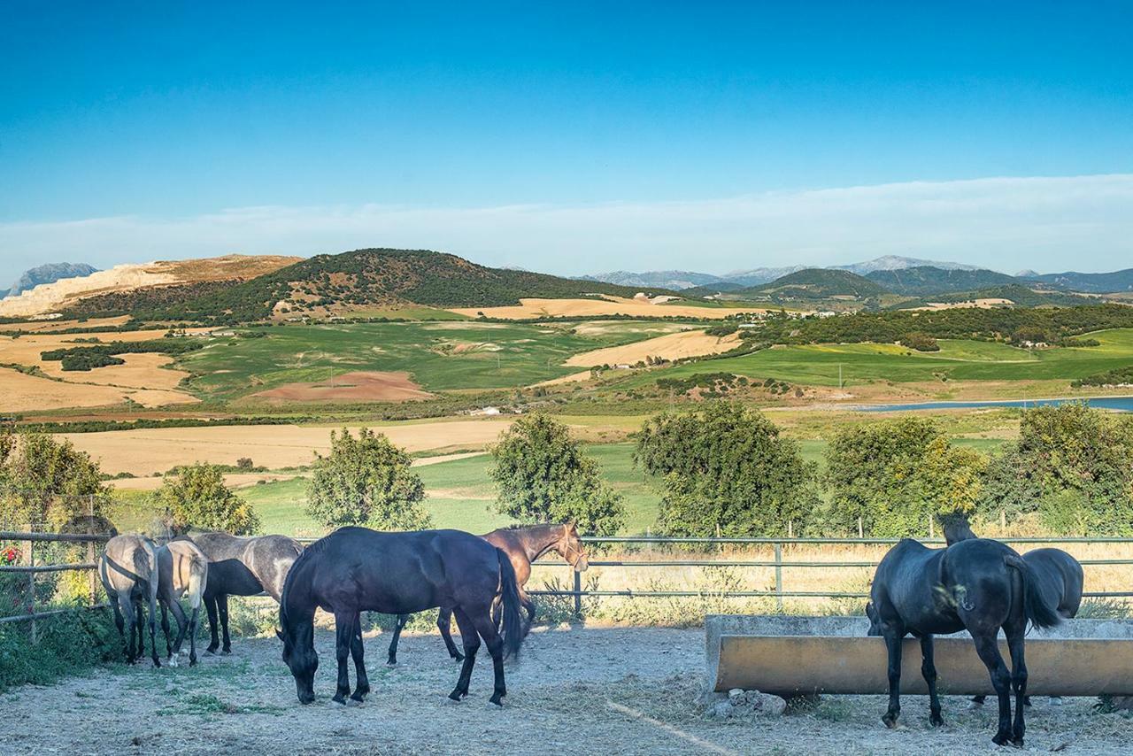 Alterhome Private Villa Cortijo Sierra Y Lago Arcos de la Frontera Exteriör bild