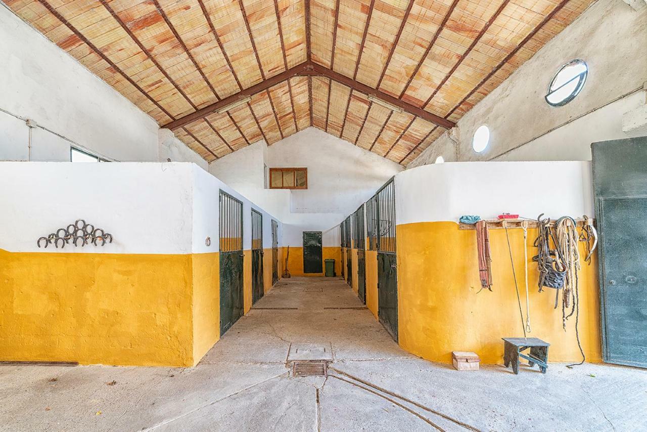 Alterhome Private Villa Cortijo Sierra Y Lago Arcos de la Frontera Exteriör bild
