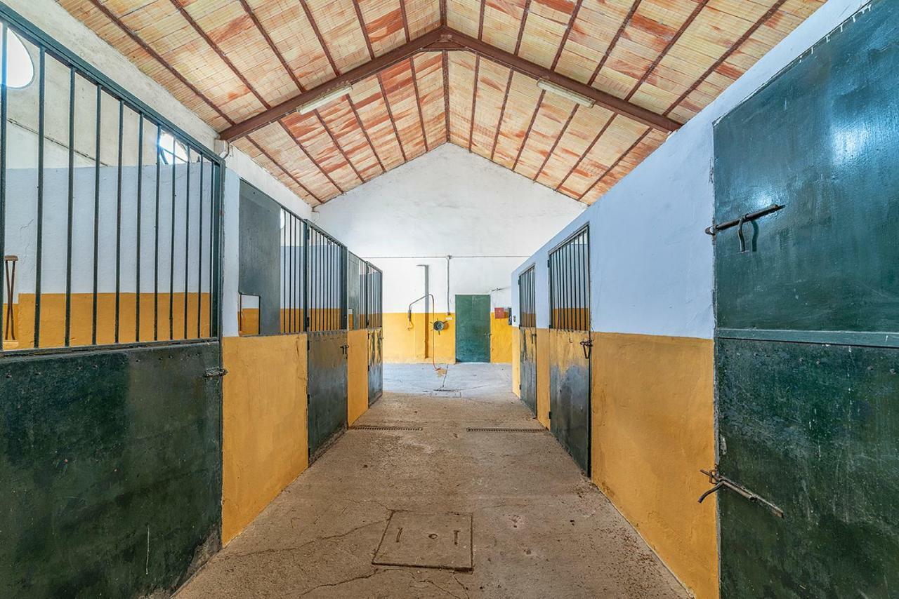 Alterhome Private Villa Cortijo Sierra Y Lago Arcos de la Frontera Exteriör bild