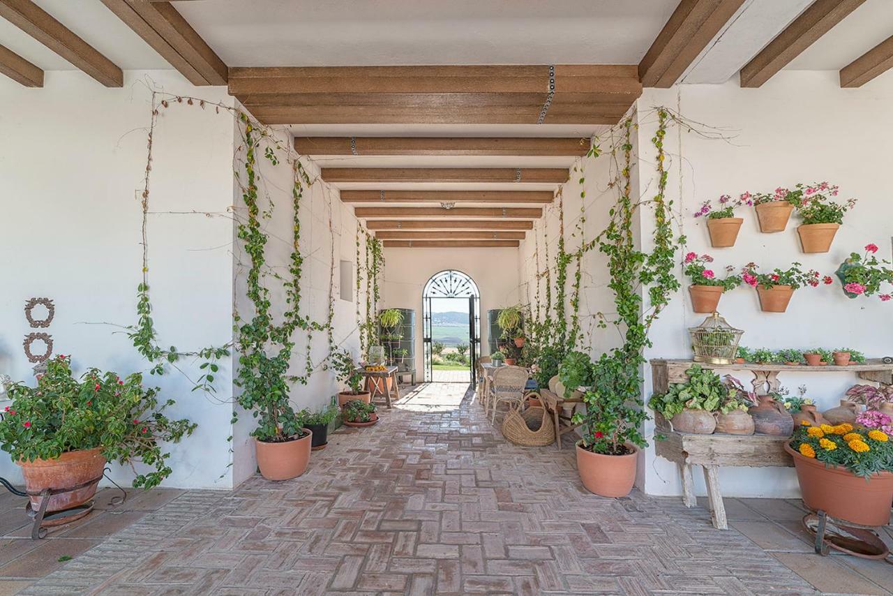 Alterhome Private Villa Cortijo Sierra Y Lago Arcos de la Frontera Exteriör bild